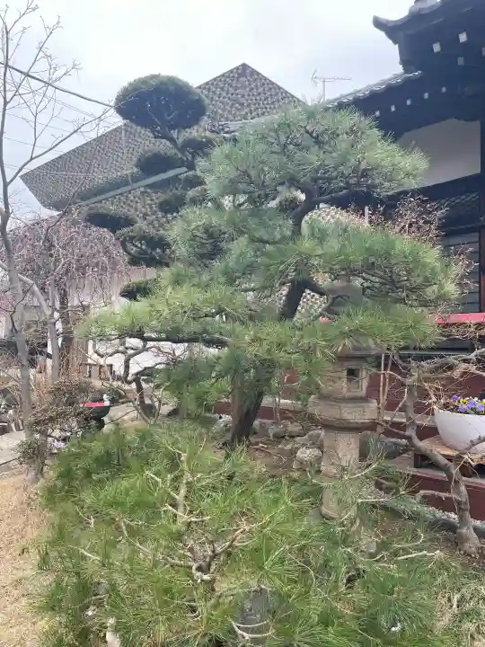 法輪寺の{uncategorized: "未分類", other: "その他", undefined: "問題あり", building: "その他建物", grave: "お墓", sacred_gate: "鳥居", guardian: "狛犬", statue: "像", buddha: "仏像", history: "歴史", nature: "自然", garden: "庭園", animal: "動物", pagoda: "塔", temizu: "手水舎", mountain_gate: "山門・神門", sanctuary: "本殿・本堂", subordinate: "末社・摂社", art: "芸術", scenery: "景色", jizo: "地蔵", ema: "絵馬", goshuin: "御朱印", omikuji: "おみくじ", items: "授与品その他", amulet: "お守り", goshuincho: "御朱印帳", eats: "食事", festival: "お祭り", votive_dance: "神楽", shichigosan: "七五三参", wedding: "結婚式", experience: "体験その他", initially: "初詣", around: "周辺", anti_infection: "感染症対策"}