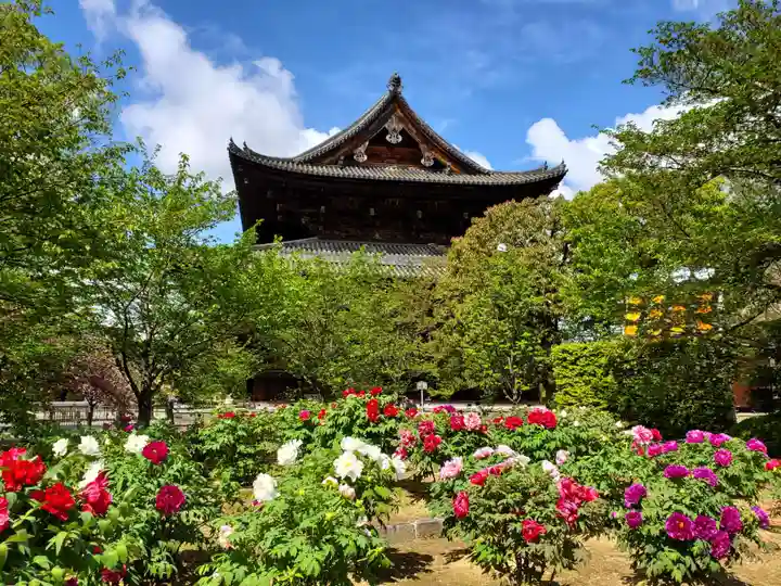 東寺(教王護国寺)のその他建物