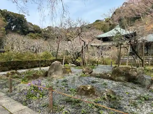 瑞泉寺の{uncategorized: "未分類", other: "その他", undefined: "問題あり", building: "その他建物", grave: "お墓", sacred_gate: "鳥居", guardian: "狛犬", statue: "像", buddha: "仏像", history: "歴史", nature: "自然", garden: "庭園", animal: "動物", pagoda: "塔", temizu: "手水舎", mountain_gate: "山門・神門", sanctuary: "本殿・本堂", subordinate: "末社・摂社", art: "芸術", scenery: "景色", jizo: "地蔵", ema: "絵馬", goshuin: "御朱印", omikuji: "おみくじ", items: "授与品その他", amulet: "お守り", goshuincho: "御朱印帳", eats: "食事", festival: "お祭り", votive_dance: "神楽", shichigosan: "七五三参", wedding: "結婚式", experience: "体験その他", initially: "初詣", around: "周辺", anti_infection: "感染症対策"}