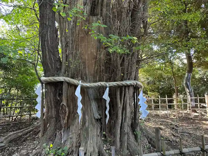 大國魂神社(東京都)