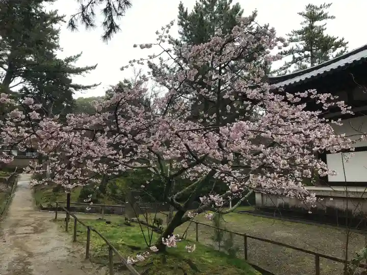 唐招提寺(奈良県)