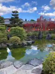 蓮華王院（三十三間堂）の庭園