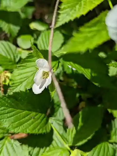 松尾大社(京都府)