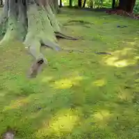 安波賀春日神社(福井県)