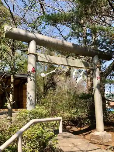 氷川神社の鳥居