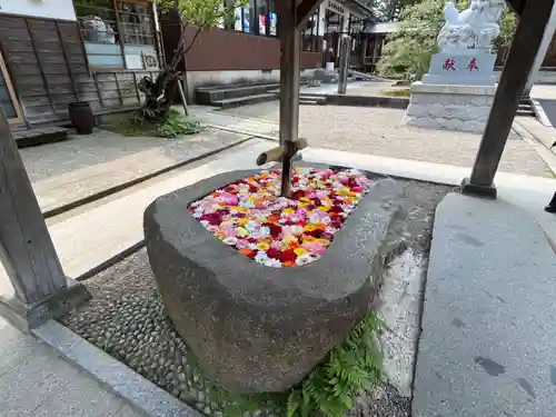 荘内神社の手水舎