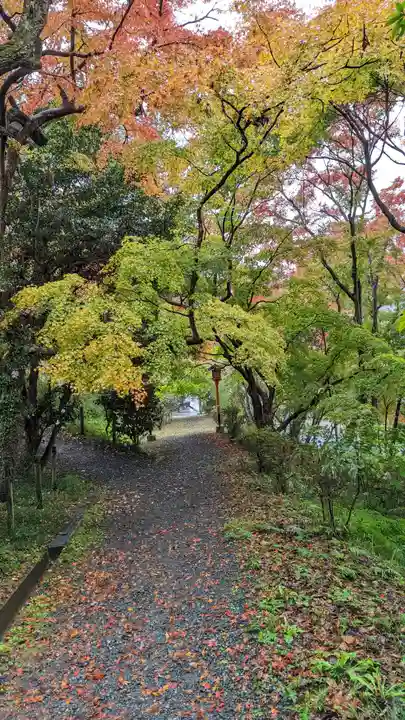 十輪寺(京都府)