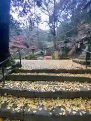 美奈宜神社の建物その他