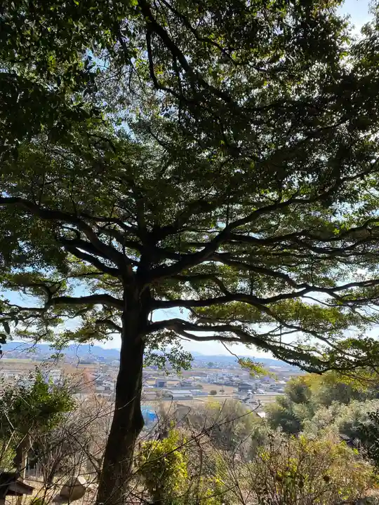 吉備津岡辛木神社(岡山県)