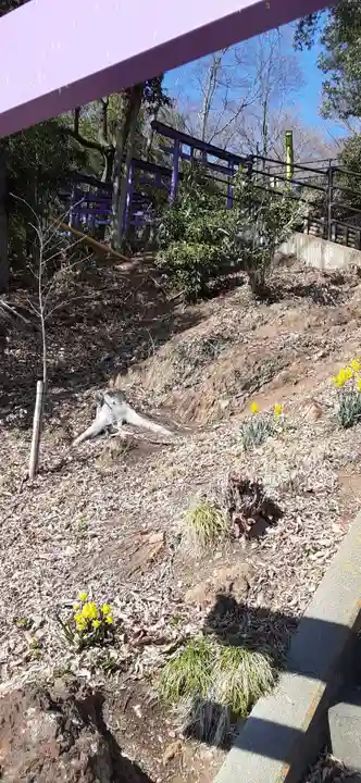 足利織姫神社(栃木県)
