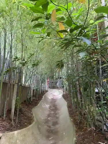 來宮神社(静岡県)