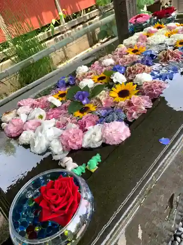 前玉神社の手水