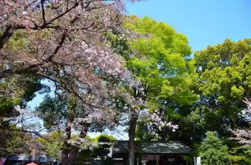 阿佐ヶ谷神明宮のその他建物