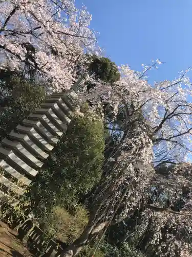 金蔵寺の塔