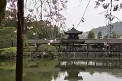 平安神宮の庭園