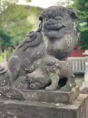 （芝生）浅間神社の狛犬