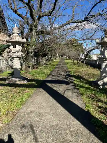名木林神社(岐阜県)