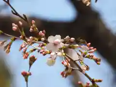 前原御嶽神社(千葉県)