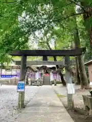 下野 星宮神社の鳥居