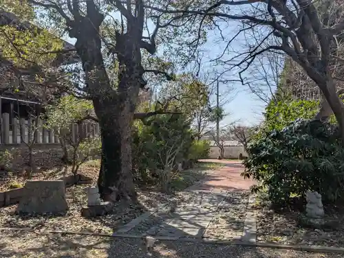 京都乃木神社(京都府)