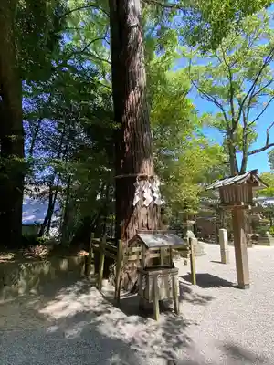 石上神宮(奈良県)