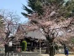 寛永寺(根本中堂)(東京都)