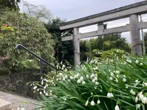 村山浅間神社の{uncategorized: "未分類", other: "その他", undefined: "問題あり", building: "その他建物", grave: "お墓", sacred_gate: "鳥居", guardian: "狛犬", statue: "像", buddha: "仏像", history: "歴史", nature: "自然", garden: "庭園", animal: "動物", pagoda: "塔", temizu: "手水舎", mountain_gate: "山門・神門", sanctuary: "本殿・本堂", subordinate: "末社・摂社", art: "芸術", scenery: "景色", jizo: "地蔵", ema: "絵馬", goshuin: "御朱印", omikuji: "おみくじ", items: "授与品その他", amulet: "お守り", goshuincho: "御朱印帳", eats: "食事", festival: "お祭り", votive_dance: "神楽", shichigosan: "七五三参", wedding: "結婚式", experience: "体験その他", initially: "初詣", around: "周辺", anti_infection: "感染症対策"}