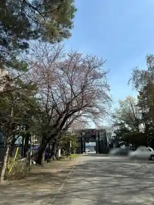 豊平神社の{uncategorized: "未分類", other: "その他", undefined: "問題あり", building: "その他建物", grave: "お墓", sacred_gate: "鳥居", guardian: "狛犬", statue: "像", buddha: "仏像", history: "歴史", nature: "自然", garden: "庭園", animal: "動物", pagoda: "塔", temizu: "手水舎", mountain_gate: "山門・神門", sanctuary: "本殿・本堂", subordinate: "末社・摂社", art: "芸術", scenery: "景色", jizo: "地蔵", ema: "絵馬", goshuin: "御朱印", omikuji: "おみくじ", items: "授与品その他", amulet: "お守り", goshuincho: "御朱印帳", eats: "食事", festival: "お祭り", votive_dance: "神楽", shichigosan: "七五三参", wedding: "結婚式", experience: "体験その他", initially: "初詣", around: "周辺", anti_infection: "感染症対策"}