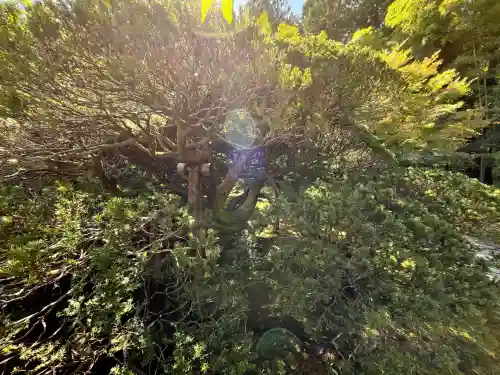 円通院(宮城県)