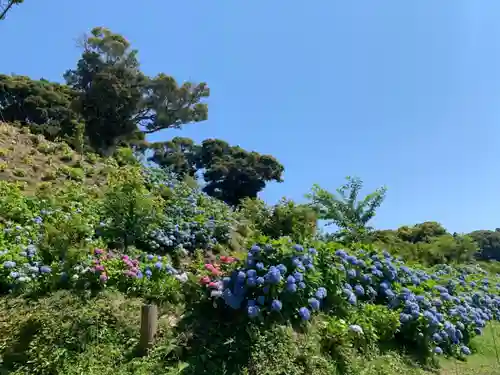 神洗神社の自然