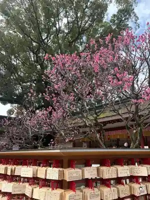 太宰府天満宮の絵馬