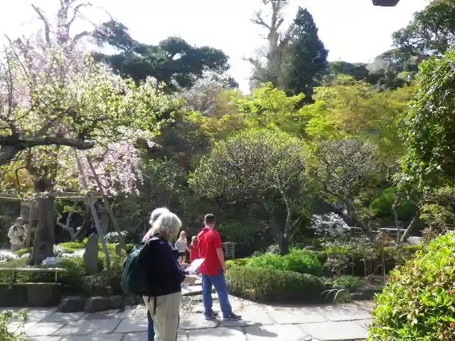 長谷寺のその他建物