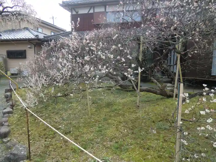 延慶寺(熊本県)