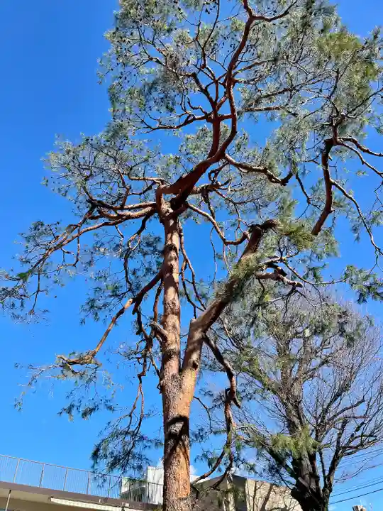 覺願寺(東京都)