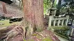 笛吹神社(京都府)