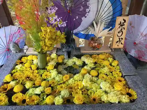 札幌諏訪神社の手水