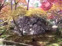 宝厳院(京都府)