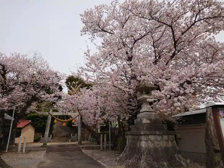 素盞嗚神社のその他建物