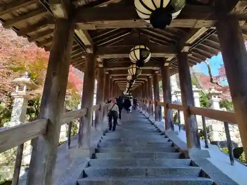 長谷寺(奈良県)