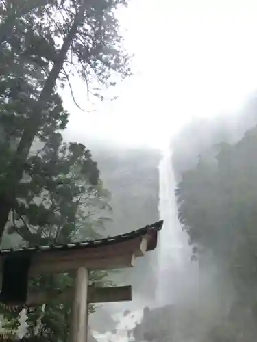 飛瀧神社（熊野那智大社別宮）の自然