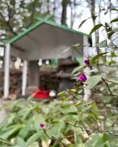 白石神社(北海道)(2024年04月17日(水) 15時02分35秒投稿)