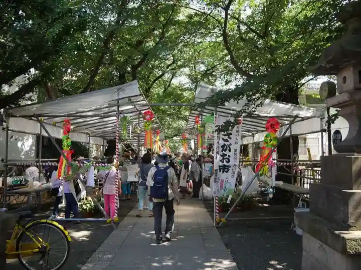 池袋氷川神社のお祭り