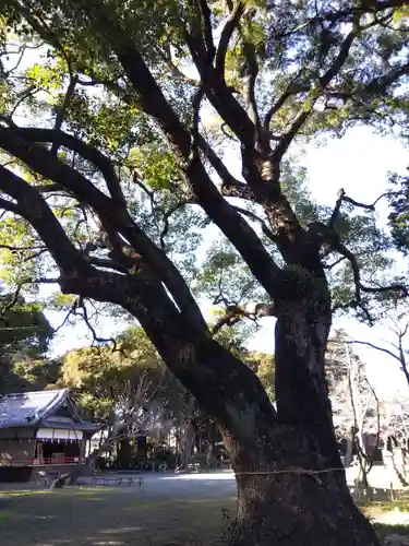 曽許乃御立神社(静岡県)