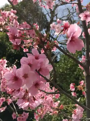 敢國神社の自然