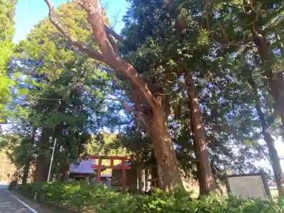 日吉神社(青森県)
