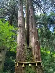 御岩神社の自然