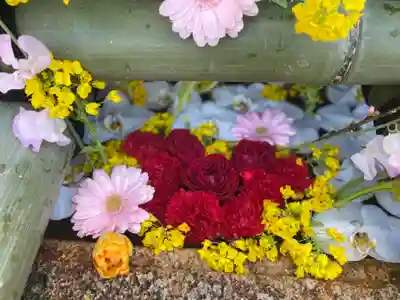 早稲田神社の手水舎