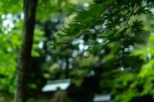 小國神社(静岡県)