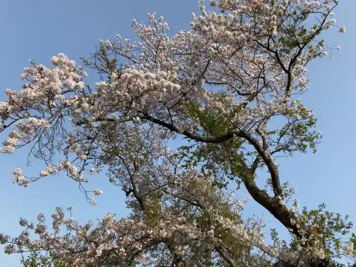 愛の地蔵尊の自然