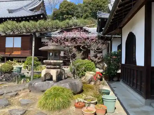 月橋院の庭園